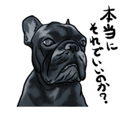 frenchbulldog's TOYkun3 sticker #4188698