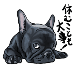 frenchbulldog's TOYkun3 sticker #4188699