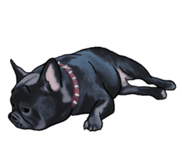 frenchbulldog's TOYkun3 sticker #4188700