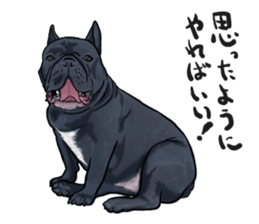 frenchbulldog's TOYkun3 sticker #4188702