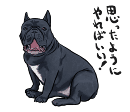 frenchbulldog's TOYkun3 sticker #4188702