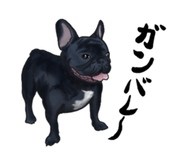 frenchbulldog's TOYkun3 sticker #4188705
