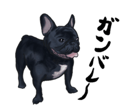 frenchbulldog's TOYkun3 sticker #4188705