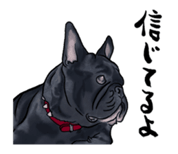 frenchbulldog's TOYkun3 sticker #4188706