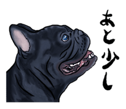 frenchbulldog's TOYkun3 sticker #4188708