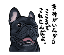 frenchbulldog's TOYkun3 sticker #4188709