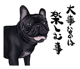 frenchbulldog's TOYkun3 sticker #4188710