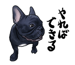 frenchbulldog's TOYkun3 sticker #4188716