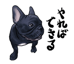 frenchbulldog's TOYkun3 sticker #4188716