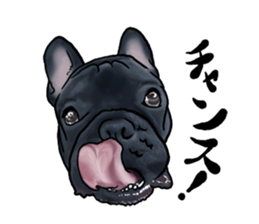 frenchbulldog's TOYkun3 sticker #4188720