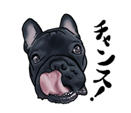 frenchbulldog's TOYkun3 sticker #4188720