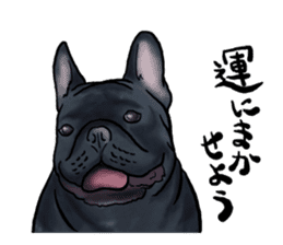 frenchbulldog's TOYkun3 sticker #4188721