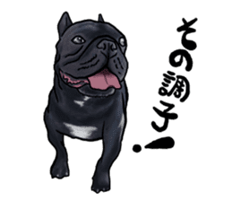 frenchbulldog's TOYkun3 sticker #4188727
