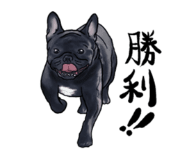 frenchbulldog's TOYkun3 sticker #4188728