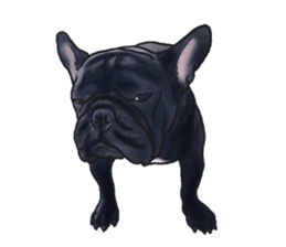 frenchbulldog's TOYkun3 sticker #4188730