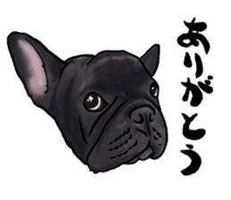 frenchbulldog's TOYkun3 sticker #4188733