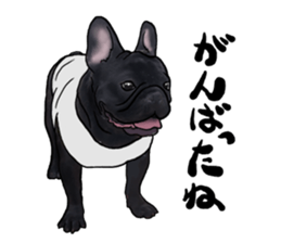 frenchbulldog's TOYkun3 sticker #4188735