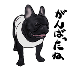 frenchbulldog's TOYkun3 sticker #4188735