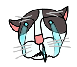 MEOW MEOW MEOW sticker #4189324