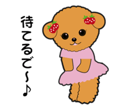 Poodle of Kansai dialect sticker #4189969
