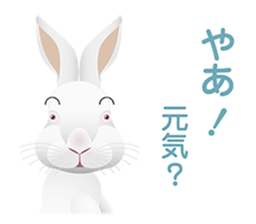 Animal World sticker #4195904