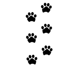 The cats(tiger cat,white cat,black cat)1 sticker #4200709