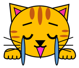 The cats(tiger cat,white cat,black cat)1 sticker #4200721