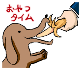 crazy cat and dog sticker #4201449