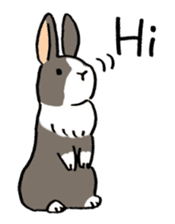English Bunny sticker #4202696