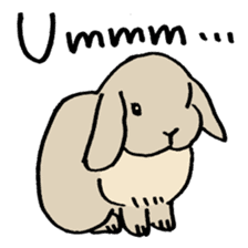 English Bunny sticker #4202713