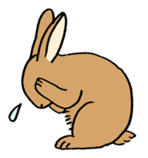 English Bunny sticker #4202715