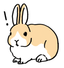 English Bunny sticker #4202720