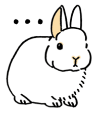 English Bunny sticker #4202721