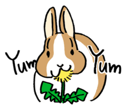 English Bunny sticker #4202722