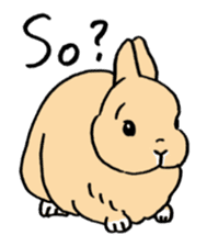 English Bunny sticker #4202724