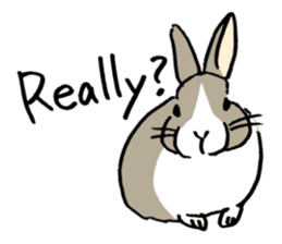 English Bunny sticker #4202728