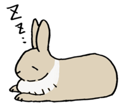 English Bunny sticker #4202731