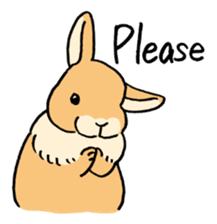 English Bunny sticker #4202732