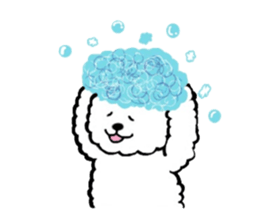 mofu-mofu Bichon Frise sticker #4202771