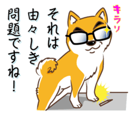 Only for a shiba-inu . 2nd ver. sticker #4203016