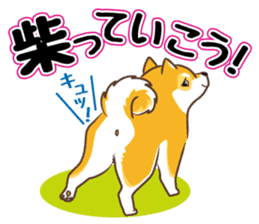Only for a shiba-inu . 2nd ver. sticker #4203021