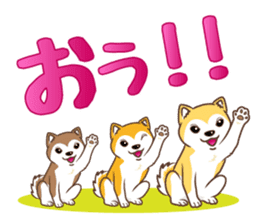 Only for a shiba-inu . 2nd ver. sticker #4203022