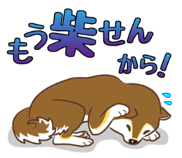 Only for a shiba-inu . 2nd ver. sticker #4203024