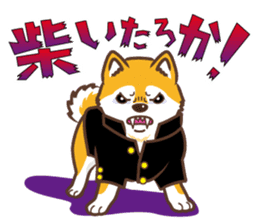 Only for a shiba-inu . 2nd ver. sticker #4203025