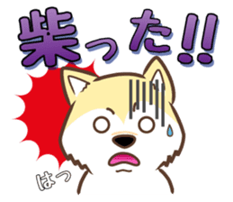 Only for a shiba-inu . 2nd ver. sticker #4203026