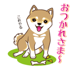 Only for a shiba-inu . 2nd ver. sticker #4203031
