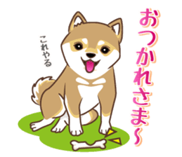 Only for a shiba-inu . 2nd ver. sticker #4203031