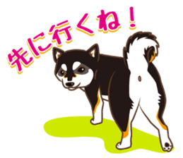 Only for a shiba-inu . 2nd ver. sticker #4203033
