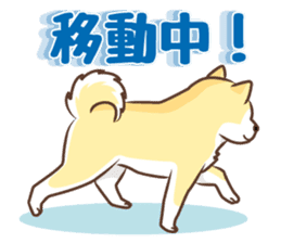 Only for a shiba-inu . 2nd ver. sticker #4203036