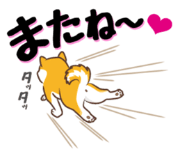Only for a shiba-inu . 2nd ver. sticker #4203037